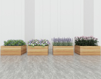 室外花箱，盆栽绿植，花坛，花卉