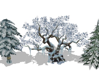 雪景树 树木