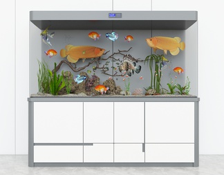 鱼缸，水族箱，桌面鱼缸，金龙鱼