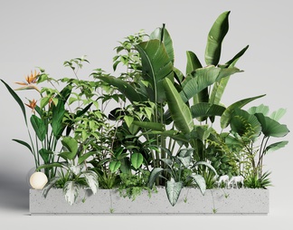 植物组合 室内植物造景 绿植花箱 花坛花钵