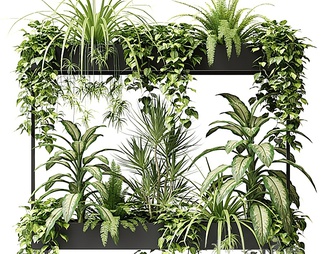 绿植，绿植墙，盆景，植物，装饰摆件