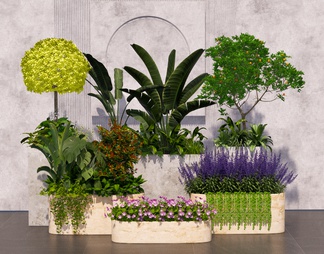 植物景观花箱
