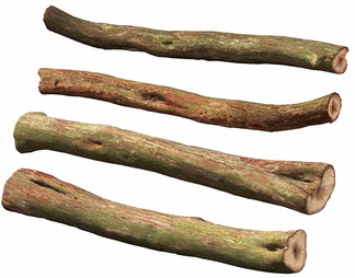 木头 树杆 树枝 木材 木柴 木棍 朽木