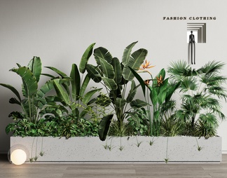 绿植花箱 室内植物造景 植物组合 植物堆 花坛花箱 微景观