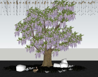 紫藤萝大树