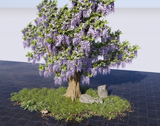 紫藤萝大树