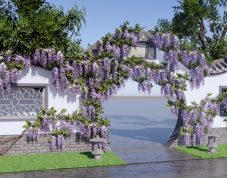 紫藤萝庭院花园