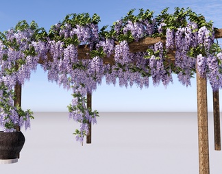 紫藤萝廊架