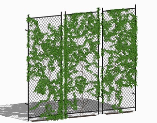 藤蔓绿植墙