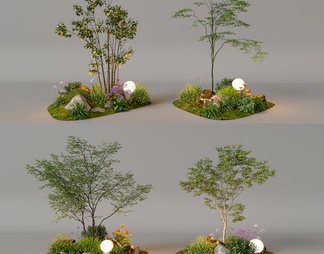 组团小景  植物堆 球形灌木 带花灌木植物组合