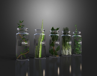 玻璃水生绿植 盆栽 花瓶