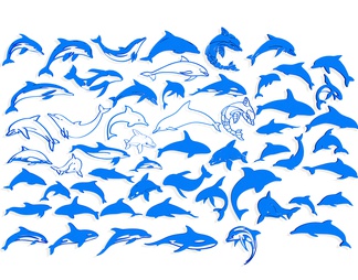 海豚 墙饰