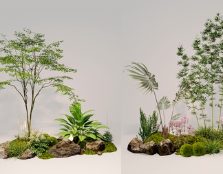 室内组团小景  植物堆 球形灌木 苔藓球  带花灌木植物组合