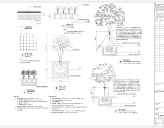 施工种植设计说明+植物选型意向