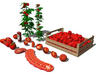 西红柿 水果蔬菜