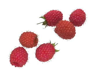 水果 水果树莓