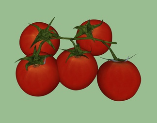水果 小番茄
