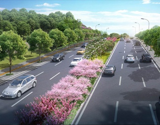 长江水岸融合提升项目之主干道中央隔离带工程