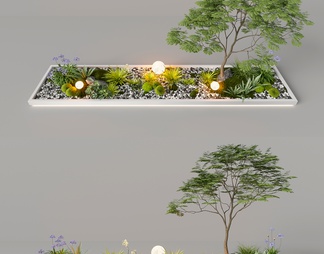 室内组团小景  植物堆 球形灌木 苔藓球  带花灌木植物组合