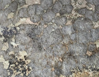 巴西潘多拉大理石贴图
