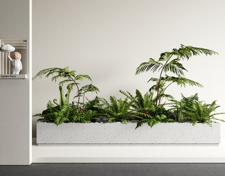 绿植花箱 室内植物造景 蕨类植物组合 微景观 植物堆