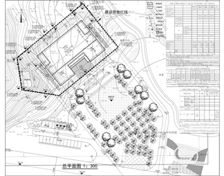 龙潭镇公共服务中心建设项目