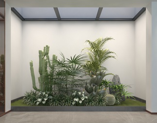 室内植物造景