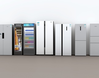 冰箱组合 冰柜