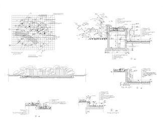 CAD园林假山景观施工图