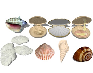 贝壳海螺 装饰摆件