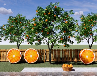 橘子公园景观