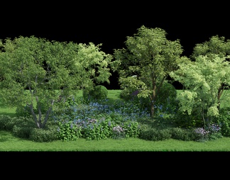 户外植物 绿化景观植物 花池灌木组团