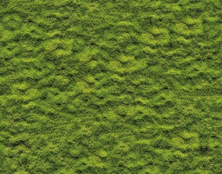 现代草地 草坪贴图 无缝苔藓贴图 现代阳光草坪 带花灌木