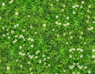 现代草地 草坪贴图 无缝苔藓贴图 现代阳光草坪 带花灌木