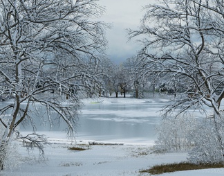 冬景雪景 河边水景冬景 冬季树木