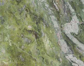 爱尔兰绿大理石 岩板贴图