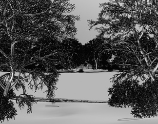 冬景雪景 河边水景冬景 冬季树木