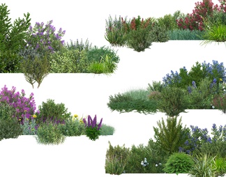 psd免抠常用植物灌木花镜立面组合素材