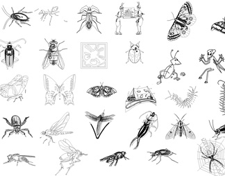 昆虫动物CAD图纸素材