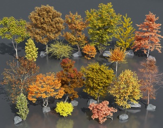秋季树