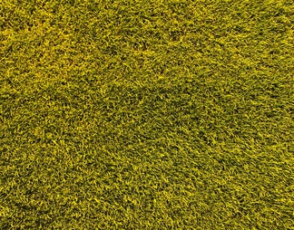 黄绿色草地贴图