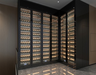 不锈钢实木红酒窖 冷藏室 恒温室 恒温柜 展示柜 冷藏柜 红酒酒窖