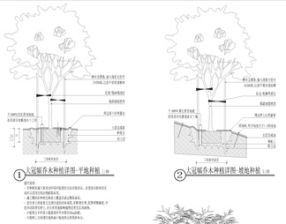 园林景观绿化 植物种植施工大样图详图 设计说明