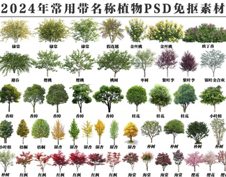 2024年常用带名称植物PSD免抠素材