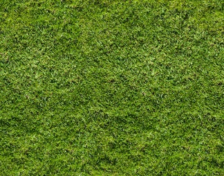 绿色草坪草皮贴图