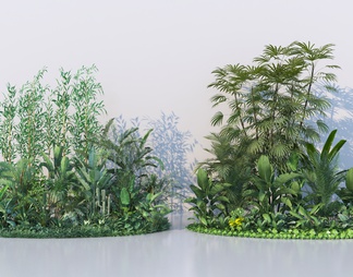 热带植物组团