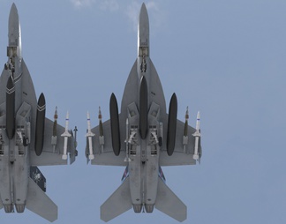 美国空军F18F绿色大黄蜂超音速战机4套涂装