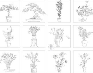 室内植物绿植盆栽摆件花瓶素材插画艺术品盆景平面立面图