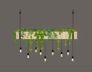 藤本植物吊灯