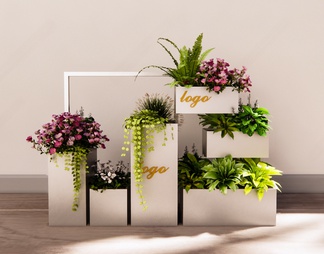 植物组合 花箱